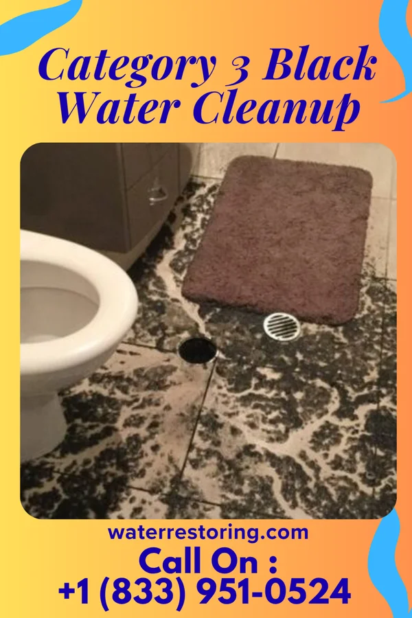 Category 3 Black Water Cleanup in Cosmopolis, WA