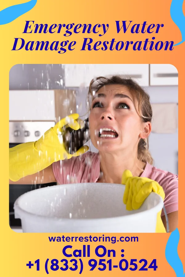 Emergency Water Damage Restoration in Cosmopolis, WA